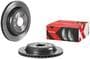 Brembo Rear Brake Rotor
