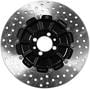 Brembo Rear Brake Rotor