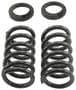 Belltech Coil Spring