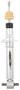 Belltech Trail Performance Strut