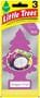 Car-Freshner Little Trees Dragon Fruit Hanging Air Freshener