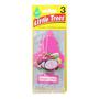 Car-Freshner Little Trees Dragon Fruit Hanging Air Freshener