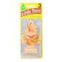 Car-Freshner Peach Gin Hanging Air Freshener