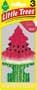 Car-Freshner Watermelon Hanging Air Freshener