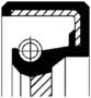 Corteco M/T Seal