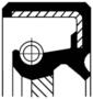 Corteco Crankshaft Seal