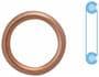 Corteco Oil Drain Plug Gasket