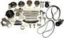 Cloyes Timing Chain Kit