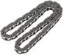 Cloyes Timing Chain