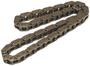 Cloyes Timing Chain
