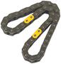 Cloyes Timing Chain