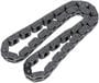 Cloyes Timing Chain
