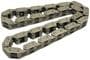 Cloyes Timing Chain