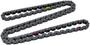 Cloyes Timing Chain