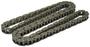 Cloyes Timing Chain