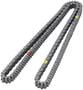 Cloyes Timing Chain