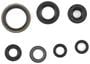 Cometic Oil Seal Kit