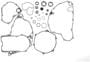 Cometic Bottom End Gasket Kit