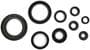 Cometic Oil Seal Kit