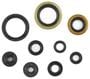 Cometic Oil Seal Kit