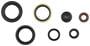 Cometic Oil Seal Kit