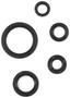 Cometic Oil Seal Kit
