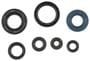 Cometic Oil Seal Kit