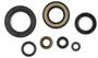 Cometic Oil Seal Kit