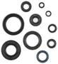 Cometic Oil Seal Kit