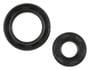 Cometic Crankshaft Seal Kit