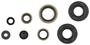 Cometic Oil Seal Kit