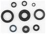 Cometic Oil Seal Kit