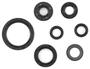 Cometic Oil Seal Kit