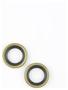 Cometic Oil Seal