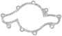 Cometic Water Pump Gasket