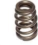 Comp Cams Beehive Valve Spring