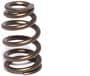 Comp Cams Beehive Valve Spring