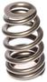 Comp Cams Beehive Valve Spring