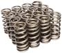 Comp Cams Beehive Valve Spring