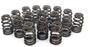 Comp Cams Beehive Valve Spring