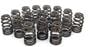 Comp Cams Beehive Valve Spring