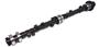 Comp Cams Thumpr Solid Flat Tappet Camshaft