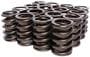 Comp Cams Valve Spring