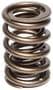 Comp Cams Valve Spring