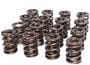 Comp Cams Valve Spring Kit