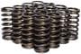 Comp Cams Valve Spring Kit