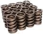 Comp Cams Valve Spring