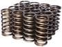 Comp Cams Valve Spring Kit