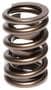 Comp Cams Valve Spring