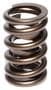 Comp Cams Valve Spring